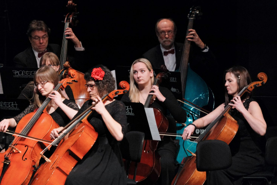 Rybovka v Divadle Oskara Nedbala Tábor